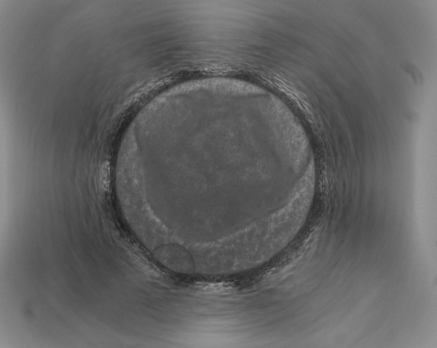 X0000112900689200910021435