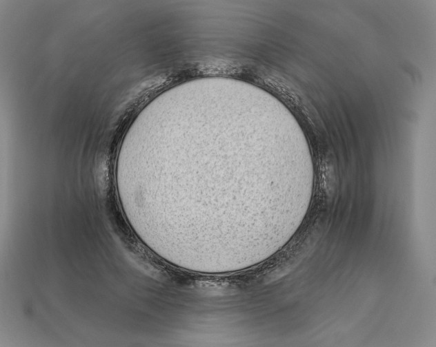 X0000112900690200910021435