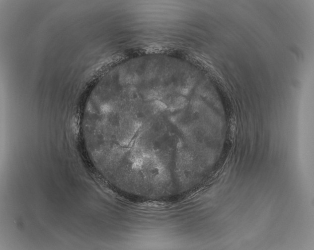 X0000112900691200910021435
