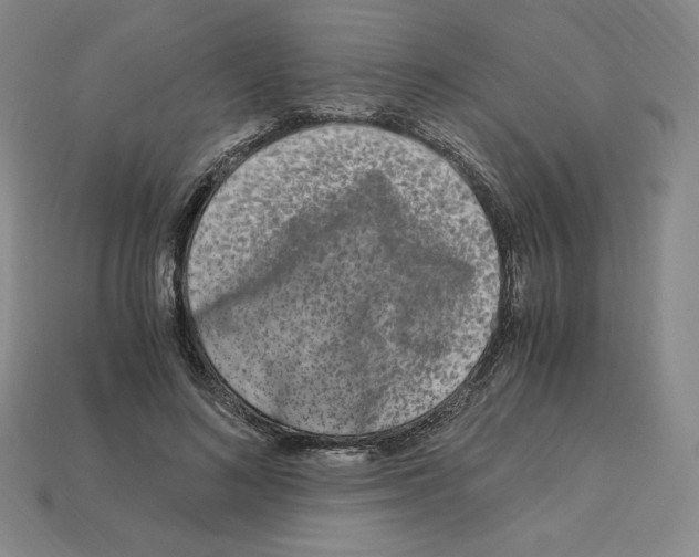 X0000112900692200910021435
