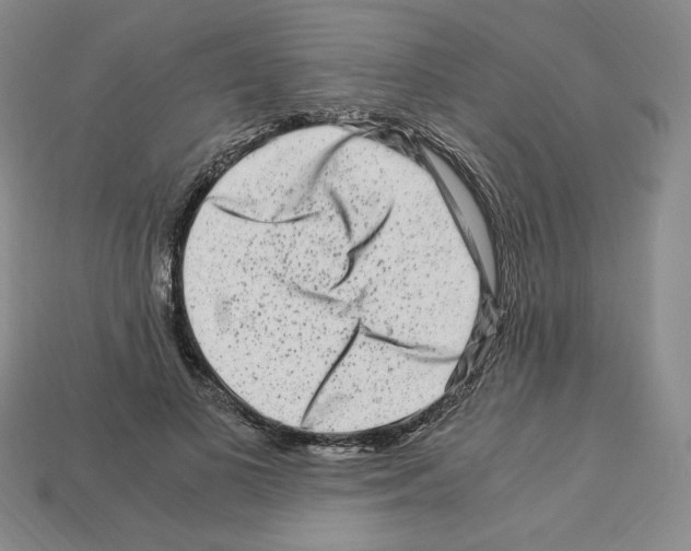X0000112900693200910021435