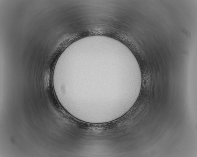 X0000112900694200910021435