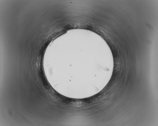 X0000112900695200910021435