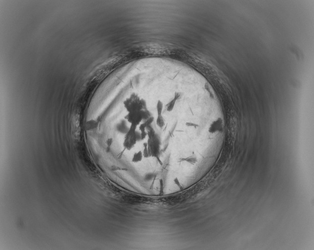 X0000112900696200910021435