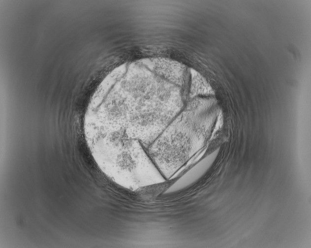 X0000112900699200910021435