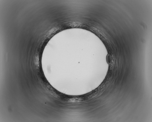 X0000112900700200910021435