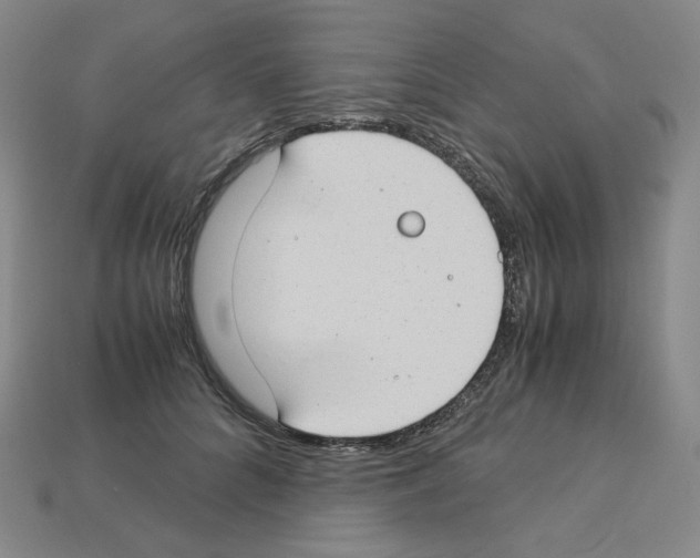 X0000112900704200910021435