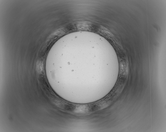 X0000112900705200910021435