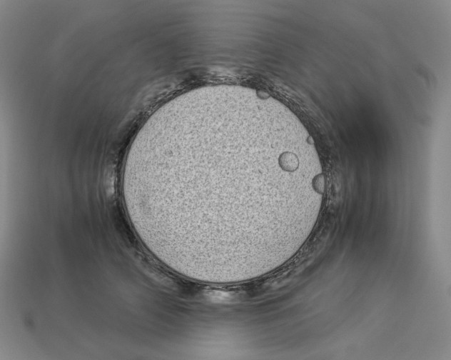 X0000112900706200910021435