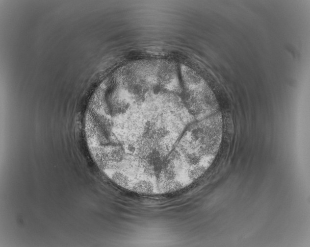 X0000112900707200910021435