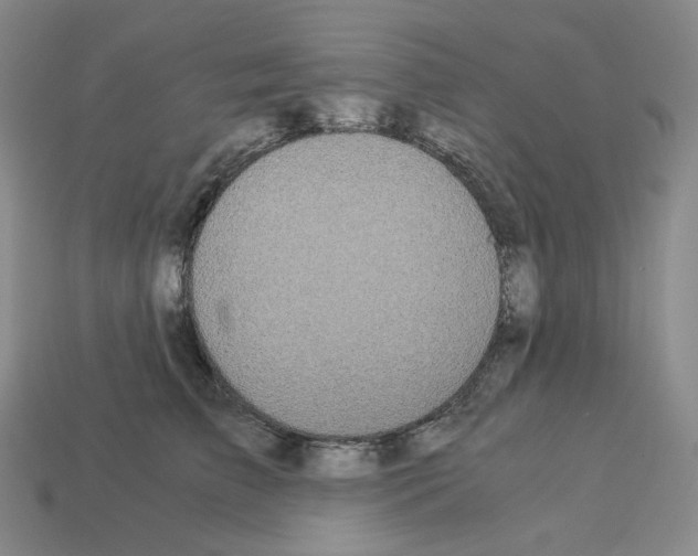 X0000112900709200910021435