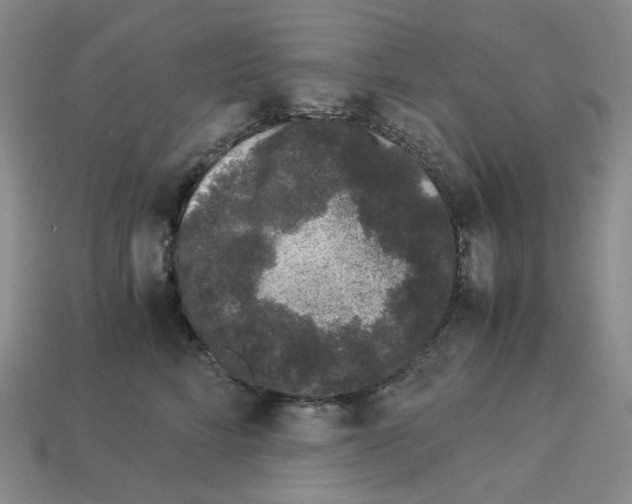 X0000112900712200910021434