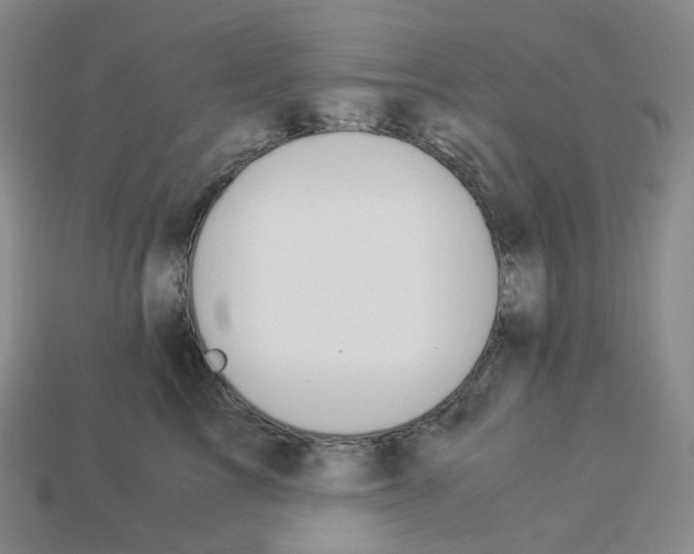 X0000112900713200910021434