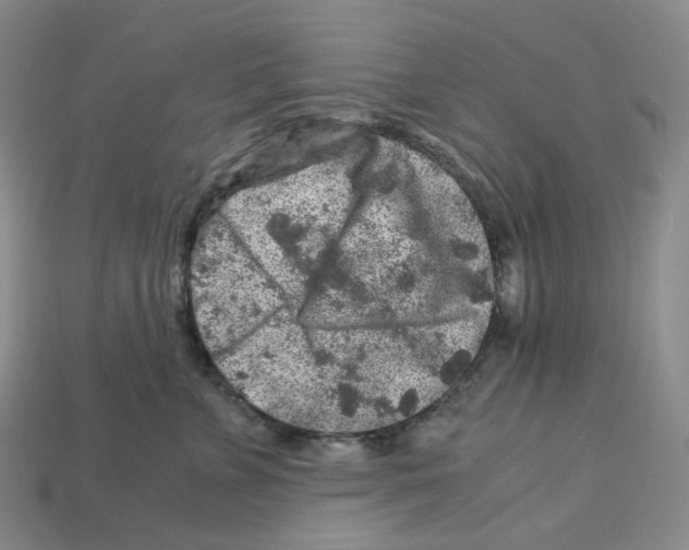 X0000112900715200910021434