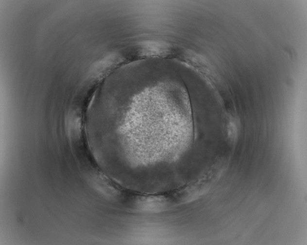 X0000112900716200910021434