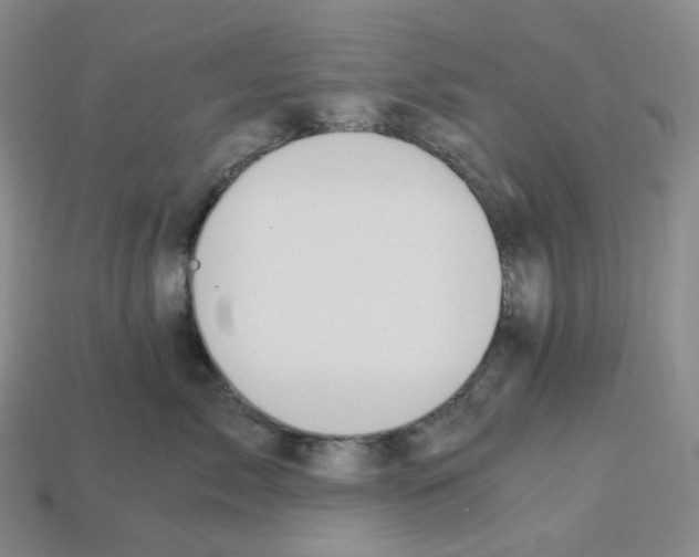 X0000112900717200910021434
