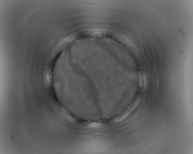X0000112900718200910021434