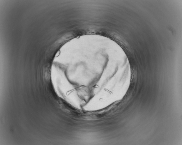 X0000112900719200910021434