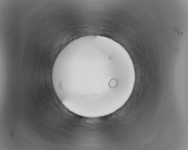 X0000112900720200910021434