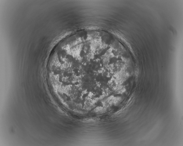 X0000112900721200910021434