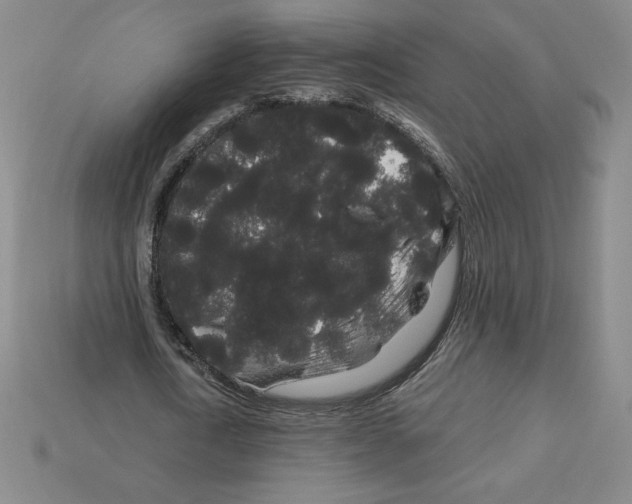 X0000112900722200910021434