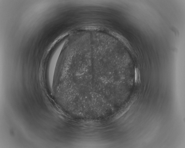 X0000112900723200910021434