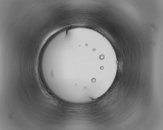 X0000112900724200910021434