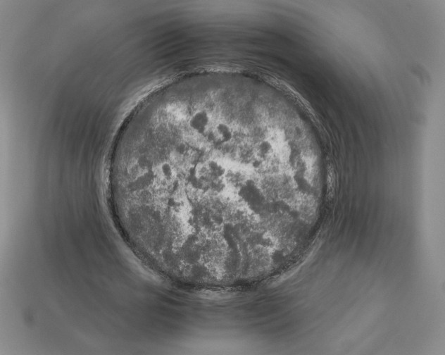 X0000112900725200910021434