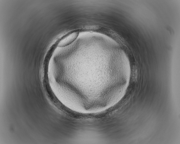 X0000112900726200910021434