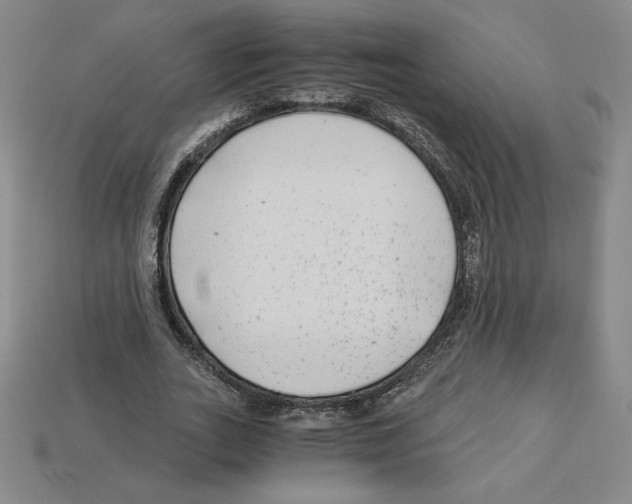 X0000112900727200910021434