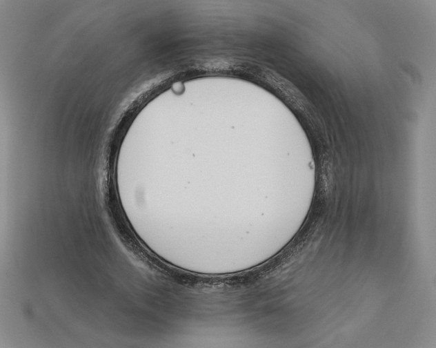 X0000112900728200910021434