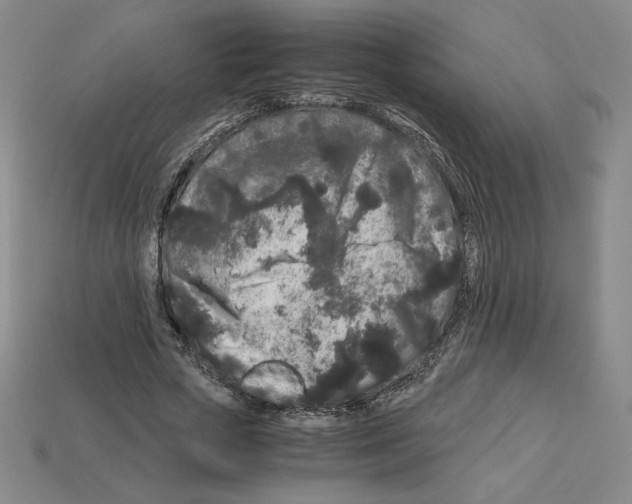 X0000112900729200910021434
