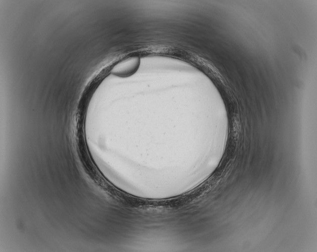 X0000112900730200910021434
