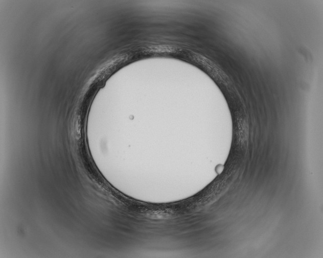 X0000112900731200910021434