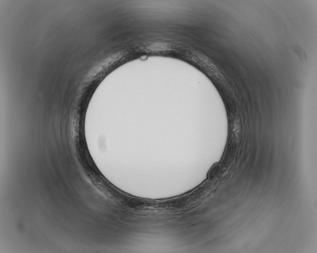 X0000112900732200910021434