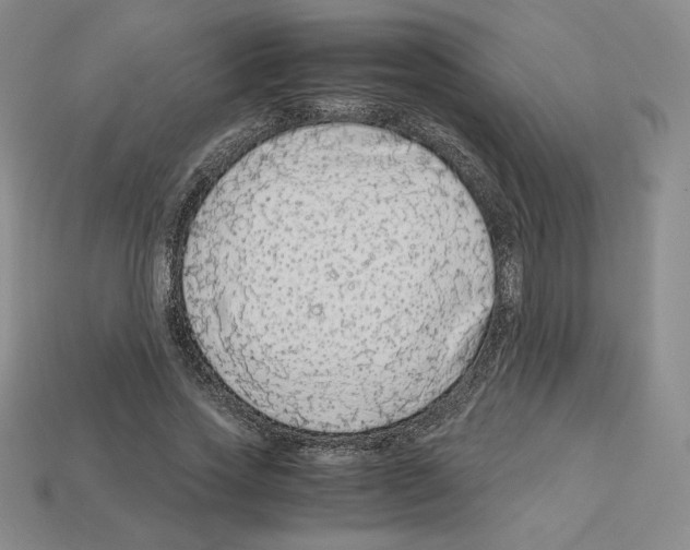 X0000112900733200910021434