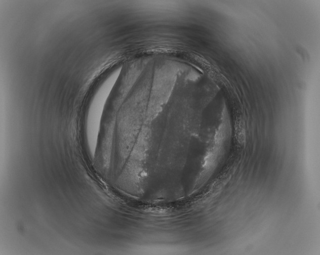 X0000112900735200910021434