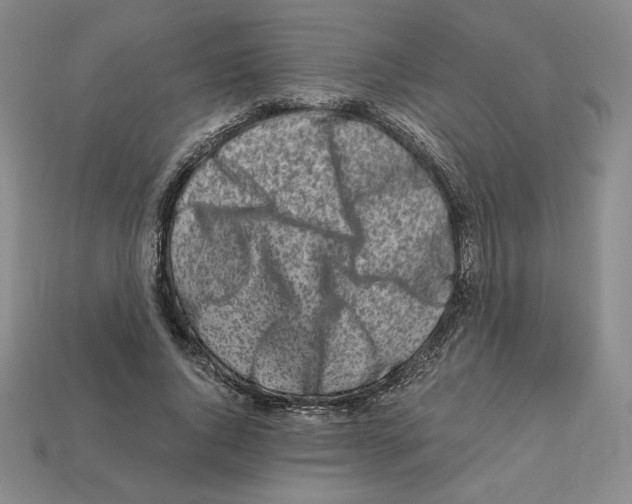 X0000112900736200910021434