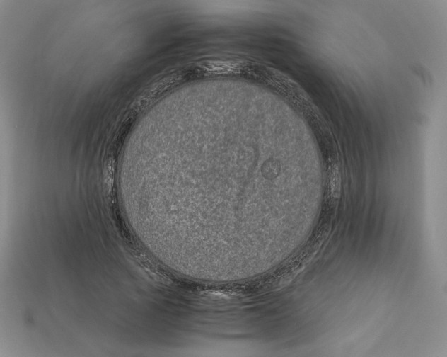 X0000112900737200910021434