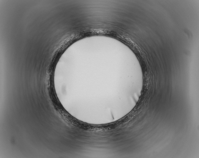 X0000112900738200910021434
