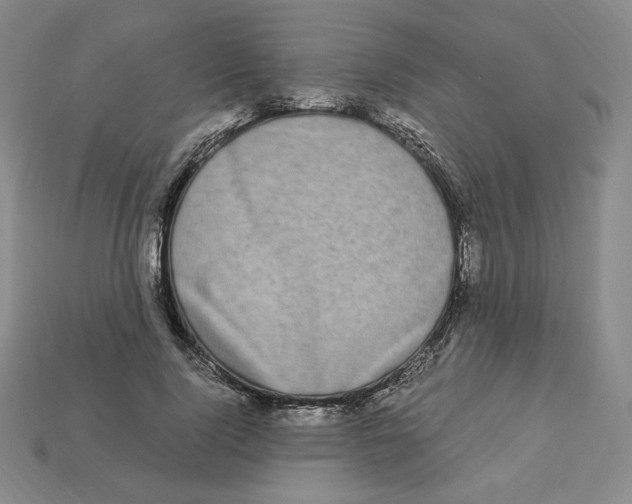 X0000112900740200910021434