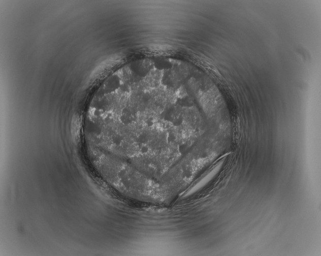 X0000112900742200910021434