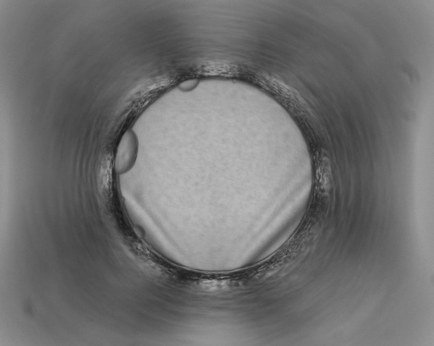 X0000112900744200910021434