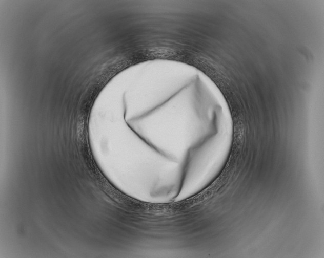 X0000112900745200910021434