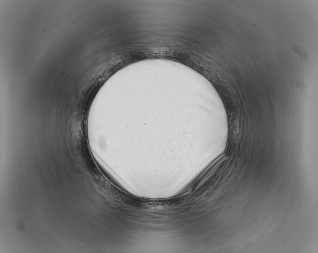 X0000112900746200910021434