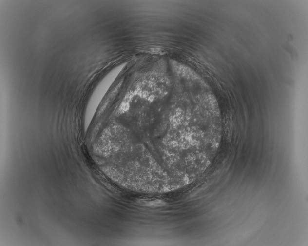 X0000112900747200910021434