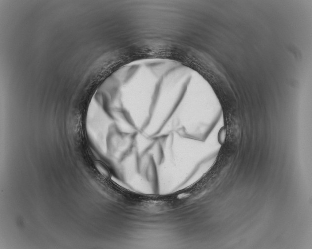 X0000112900748200910021434