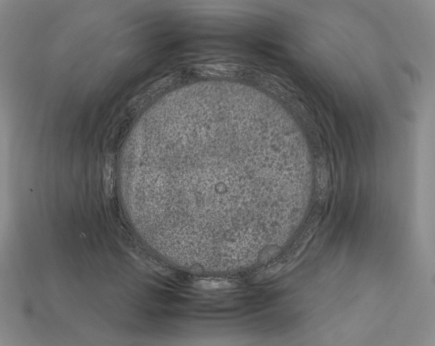X0000112900749200910021434