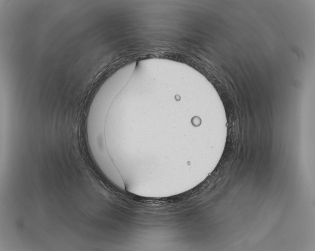 X0000112900750200910021434