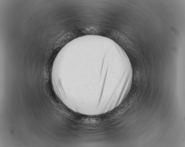X0000112900751200910021434